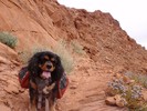 photo thumbnail #12