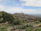 photo thumbnail #14