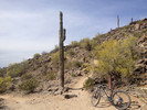 photo thumbnail #2