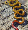 photo thumbnail #15