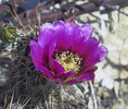 photo thumbnail #5