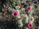 photo thumbnail #7