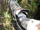 photo thumbnail #3