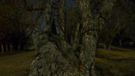 photo thumbnail #11