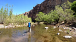 photo thumbnail #3