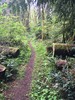 photo thumbnail #8