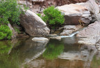 photo thumbnail #6