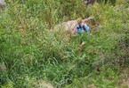 photo thumbnail #9