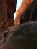 photo thumbnail #15