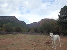 photo thumbnail #5
