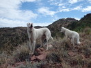 photo thumbnail #11