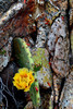 photo thumbnail #14