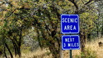 photo thumbnail #9