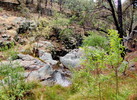photo thumbnail #14