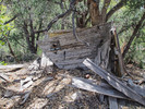 photo thumbnail #9