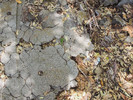 photo thumbnail #11