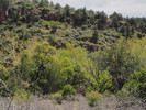 photo thumbnail #14