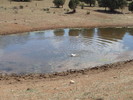 photo thumbnail #13
