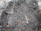 2014-04-20 :2: Cherry Creek Road FR 203 :: FOTG