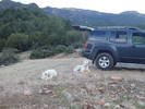 photo thumbnail #15