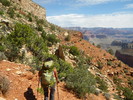 photo thumbnail #8