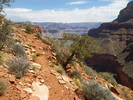 photo thumbnail #12