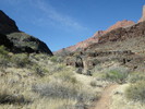 photo thumbnail #10