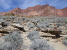 photo thumbnail #11