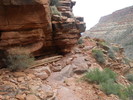 photo thumbnail #15