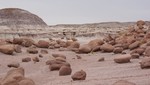 photo thumbnail #8