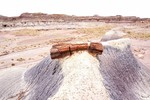 photo thumbnail #11