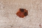 photo thumbnail #12