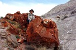 photo thumbnail #5