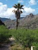 photo thumbnail #7