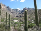photo thumbnail #2