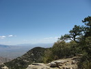 photo thumbnail #10