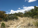 photo thumbnail #11