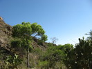 photo thumbnail #14