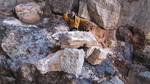 photo thumbnail #7