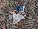 photo thumbnail #10