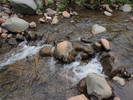 photo thumbnail #12