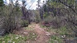 photo thumbnail #1