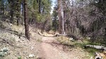 photo thumbnail #2