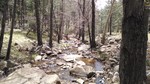 photo thumbnail #4