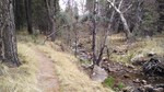 photo thumbnail #6