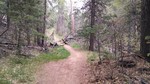 photo thumbnail #14