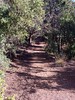 photo thumbnail #15