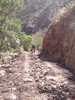 photo thumbnail #2