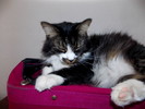 photo thumbnail #15