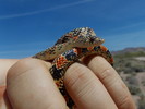 photo thumbnail #12